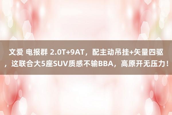 文爱 电报群 2.0T+9AT，配主动吊挂+矢量四驱，这联合大5座SUV质感不输BBA，高原开无压力！