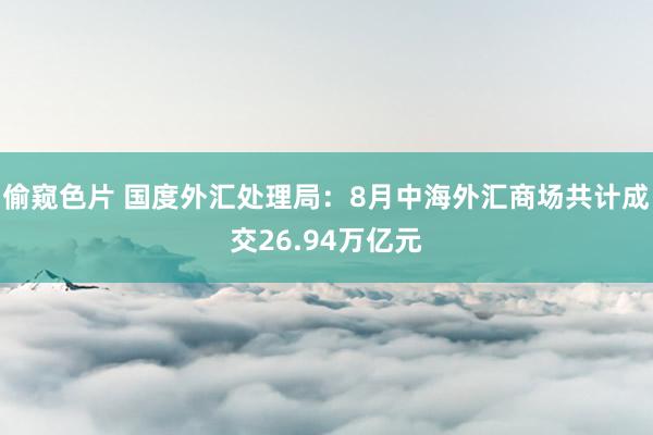 偷窥色片 国度外汇处理局：8月中海外汇商场共计成交26.94万亿元