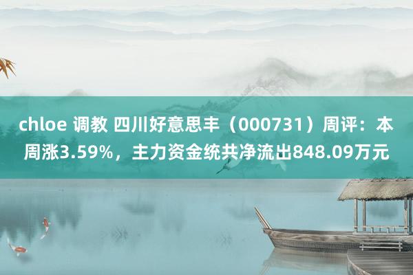 chloe 调教 四川好意思丰（000731）周评：本周涨3.59%，主力资金统共净流出848.09万元