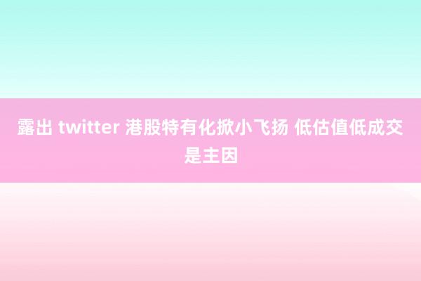露出 twitter 港股特有化掀小飞扬 低估值低成交是主因